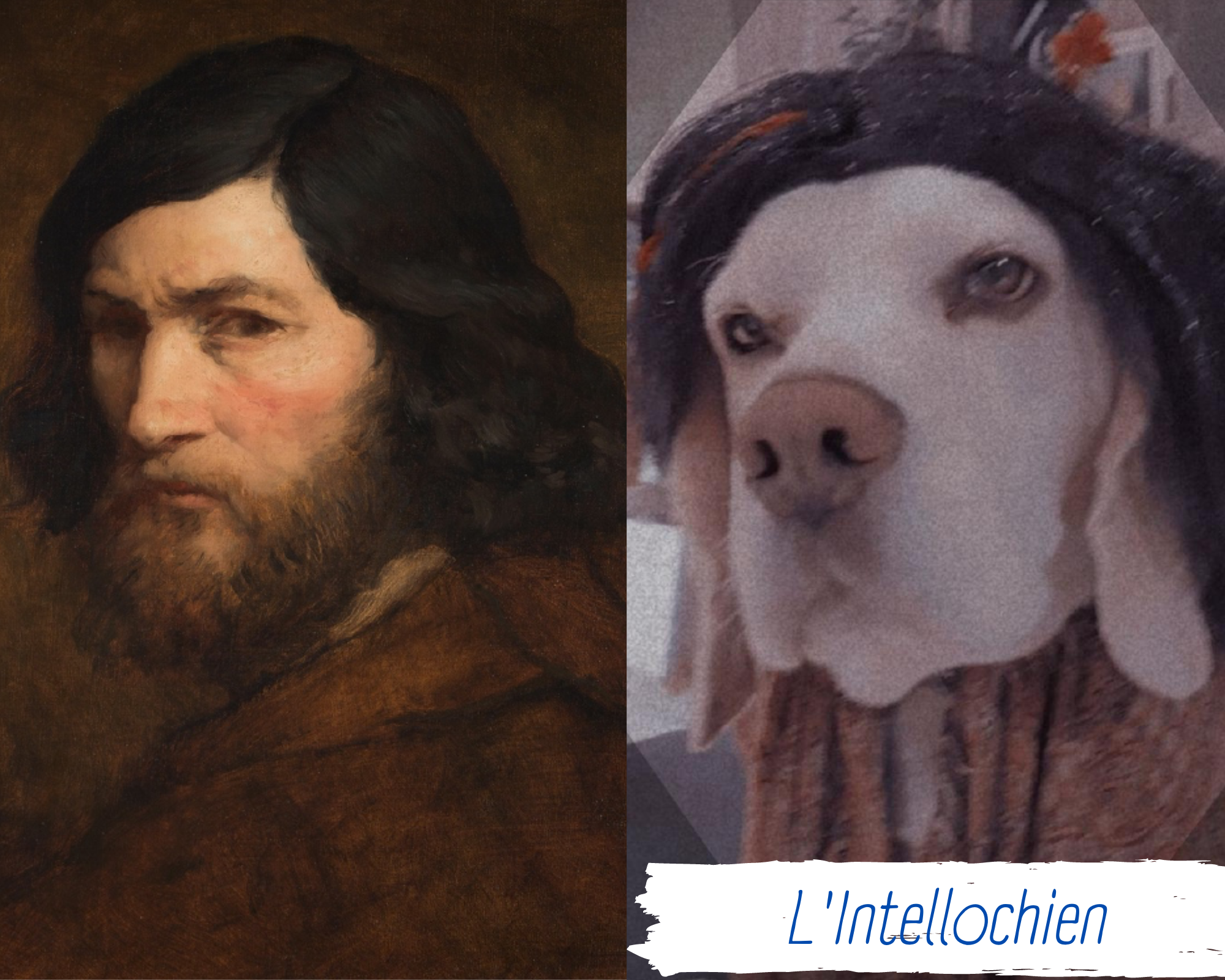 L'intellochien