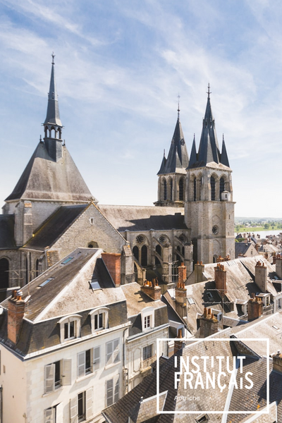 Château Royal de Blois, Blois, France