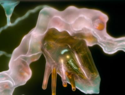 © Agnieszka Polska, Courtesy Georg Kargl Fine Arts, Vienna © Agnieszka Polska, Courtesy Georg Kargl Fine Arts, Vienna